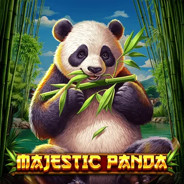 Majestic Panda